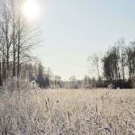 Nature in Winter - blog - Lookforsmile.com