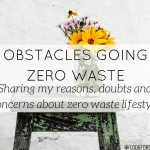 difficulties going zero waste - blog - Lookforsmile.com